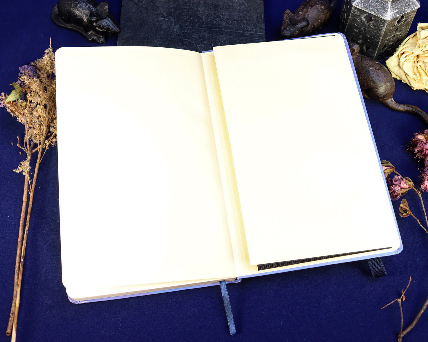 Dragonette Hollow Journal