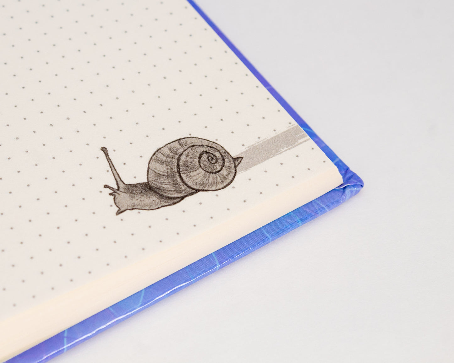 Dragonette Hollow Journal