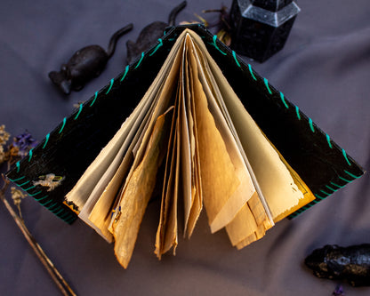 Nature Adventure Journal (one-of-a-kind)