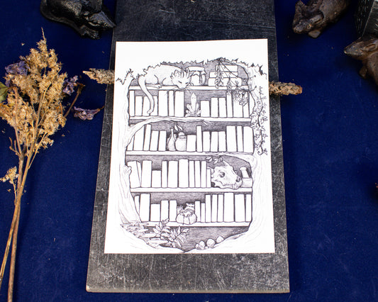 Enchanted Library Tracker *PRINTABLE*