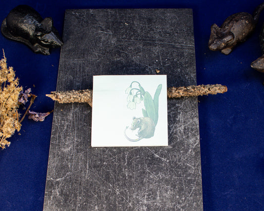 Underbrush Florat Sticky Notes